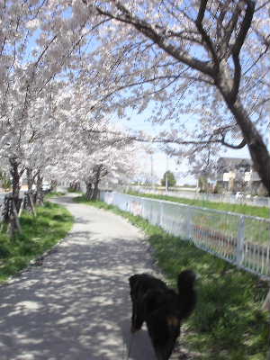 f0073239_1053740.jpg