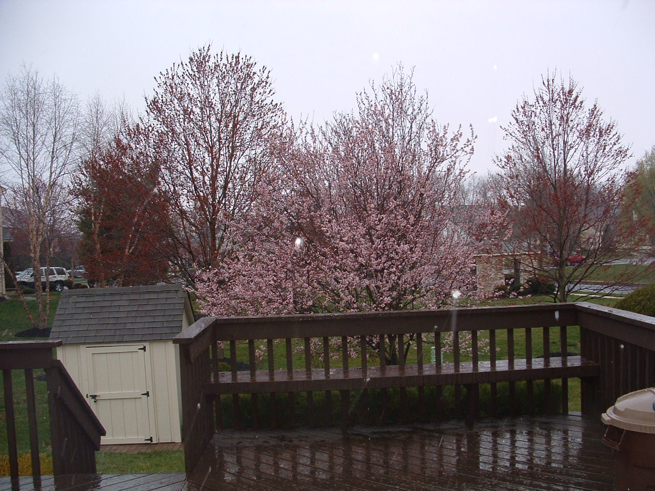 d0012645_0555820.jpg