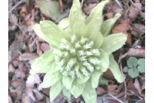 c0011446_22174358.jpg