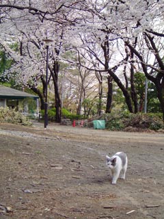 b0019960_1534963.jpg