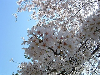 b0059860_14281497.jpg