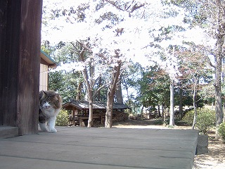 b0059860_14282465.jpg