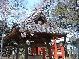 b0059860_1428542.jpg