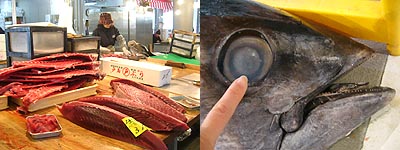 c0027965_046357.jpg