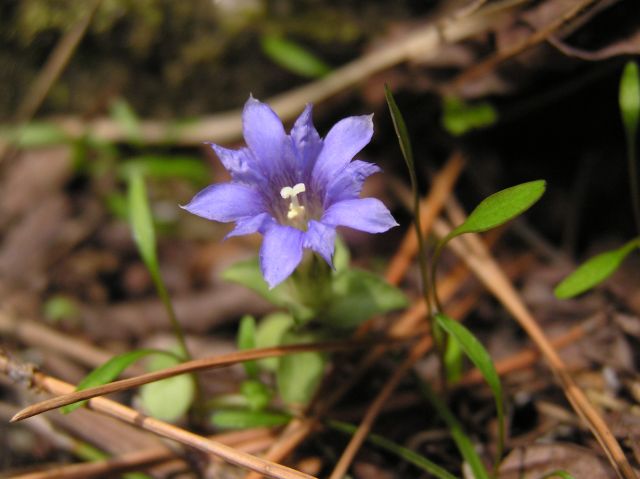 c0042869_1731025.jpg