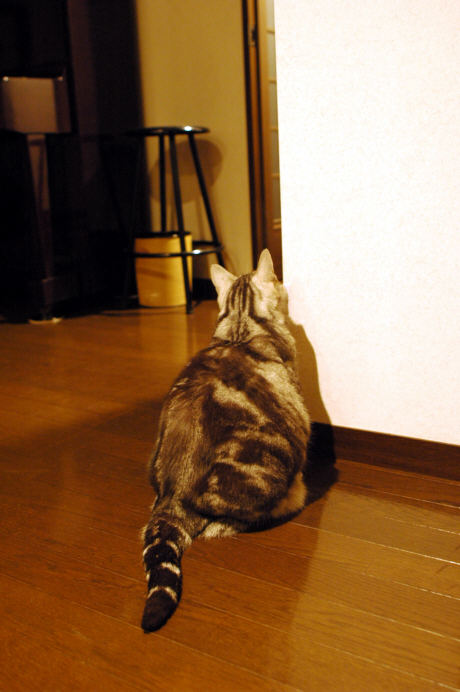 c0026870_1323732.jpg