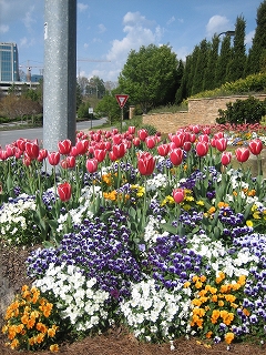 e0015270_10264070.jpg