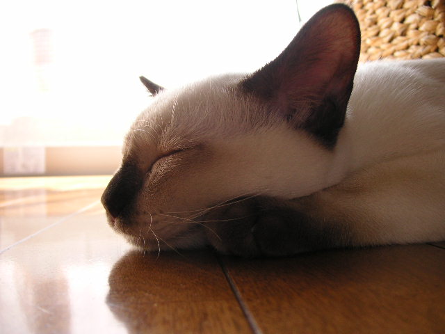 e0007273_17491667.jpg
