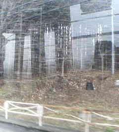 e0033384_11353797.jpg