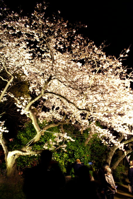 c0025895_0594540.jpg