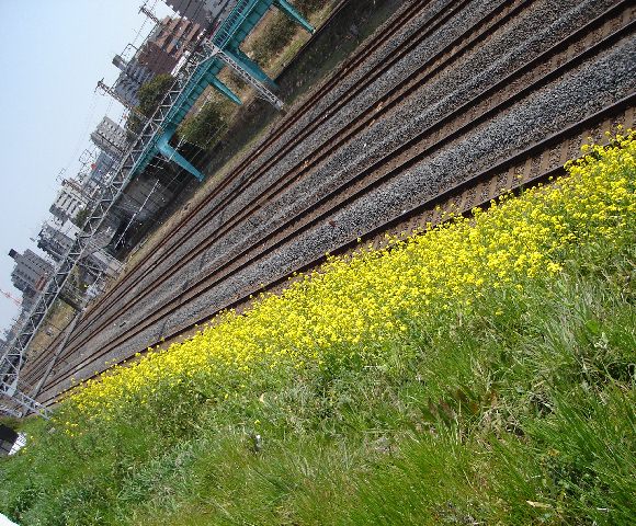 f0084806_22442634.jpg