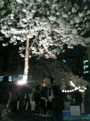 b0036608_836626.jpg