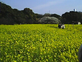 a0015614_8433350.jpg