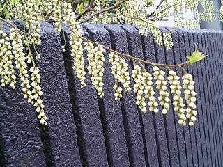 e0026017_22104063.jpg