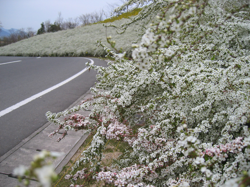 a0059328_2133473.jpg