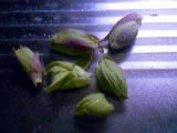 a0020929_13261513.jpg