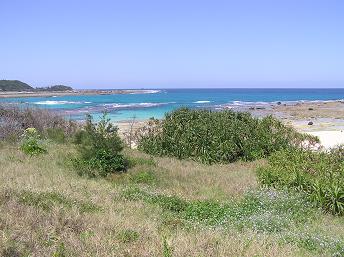 d0053930_7575498.jpg