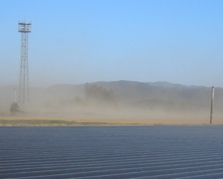 f0042737_203142.jpg