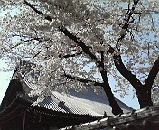 c0046340_15434065.jpg