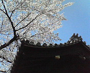 c0046340_16101367.jpg