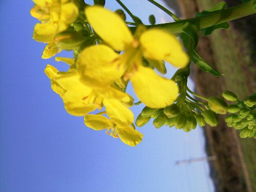 c0072843_18334940.jpg