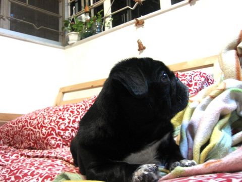 e0018143_13224619.jpg