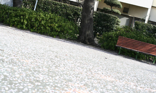 e0046147_1931690.jpg