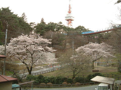 f0041850_18165010.jpg