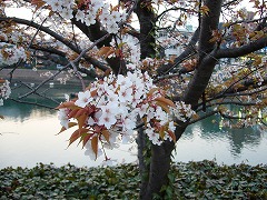 f0056250_22544140.jpg
