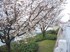 f0056250_22545548.jpg