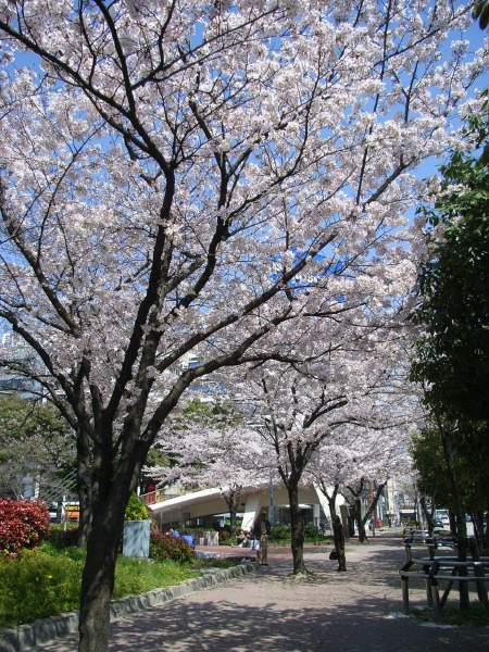 e0079751_1492323.jpg