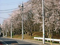 e0016955_2049530.jpg