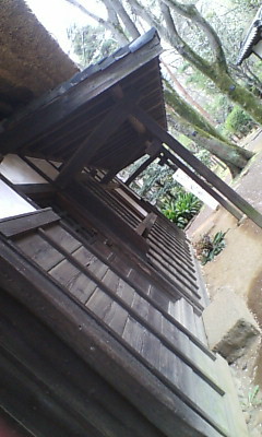 f0056359_2332914.jpg