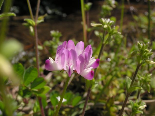 c0042869_22542484.jpg