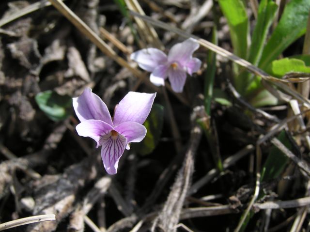 c0042869_22555015.jpg