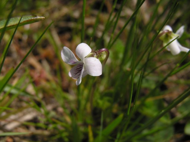 c0042869_22571468.jpg