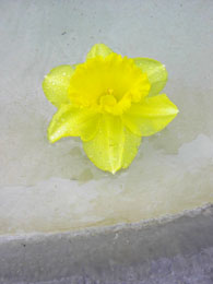 f0032969_23175373.jpg