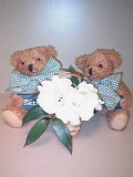 c0023170_12621.jpg