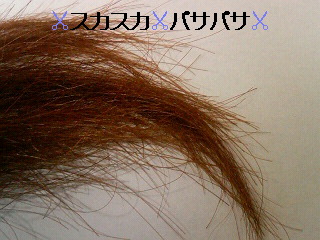 e0039871_1214436.jpg