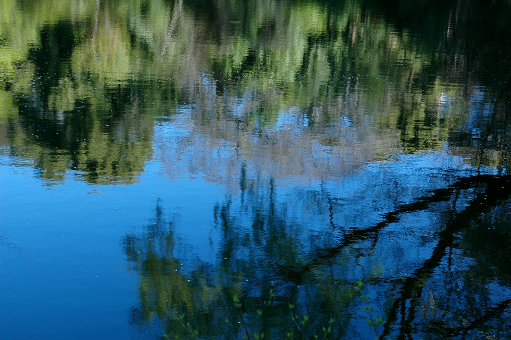 e0015377_1831636.jpg