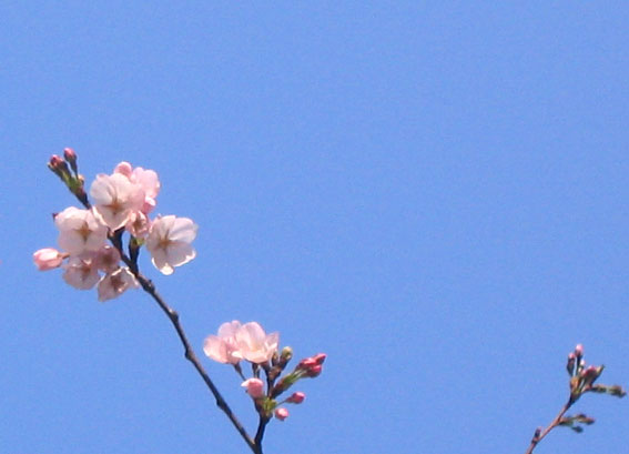 b0057679_10115672.jpg