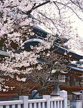 b0057679_1012826.jpg