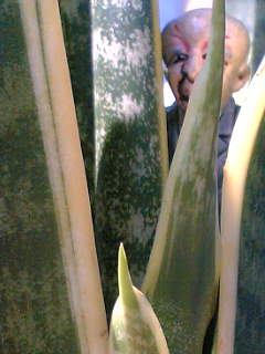 f0100480_1552885.jpg