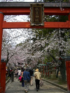 b0010882_0375329.jpg