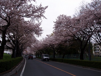 f0016783_2159282.jpg