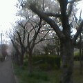 f0016090_110227.jpg