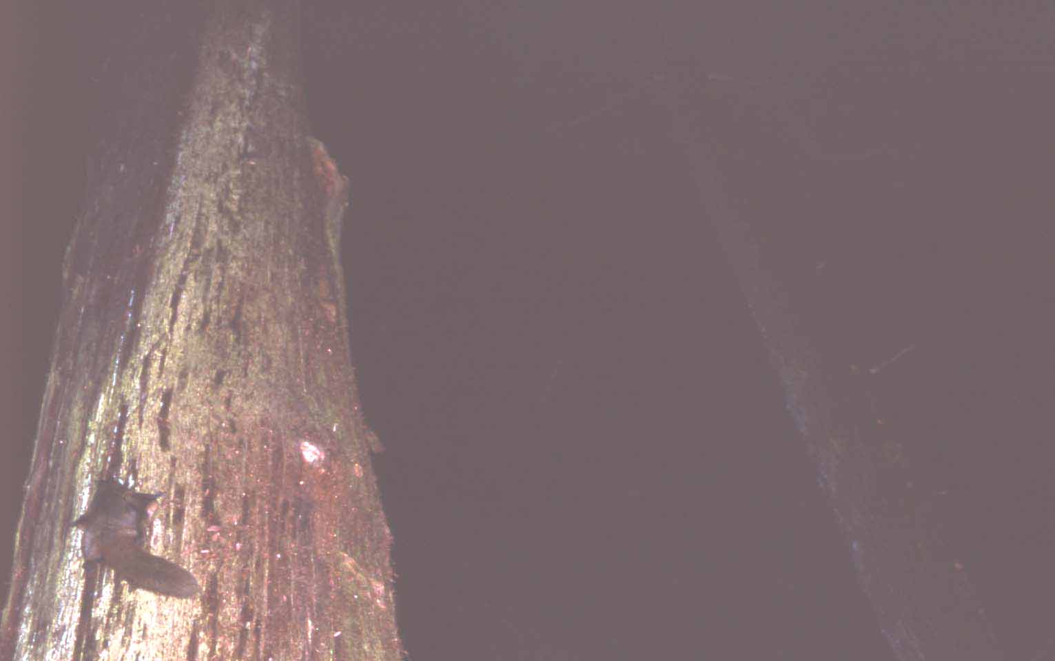 f0047593_15264526.jpg