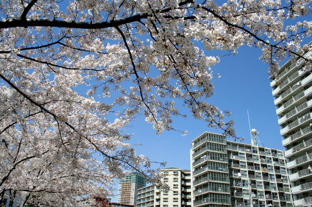 c0025895_0343159.jpg