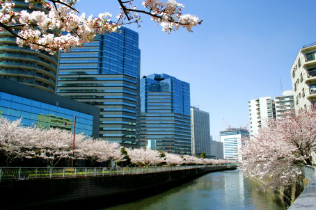 c0025895_0384982.jpg