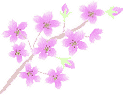 a0042798_20513418.gif